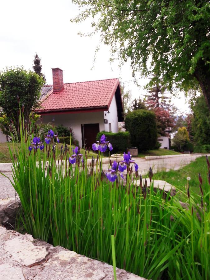 Centrum Wypoczynku Odys Tresna Exterior foto